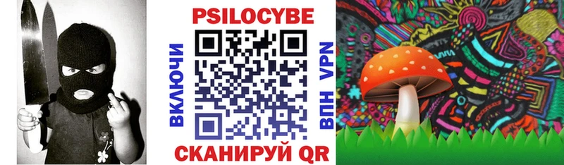 Галлюциногенные грибы Psilocybe  магазин продажи наркотиков  Байкальск 